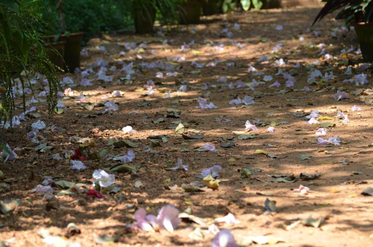 Bhakti Kutir Ξενοδοχείο Palolem Εξωτερικό φωτογραφία